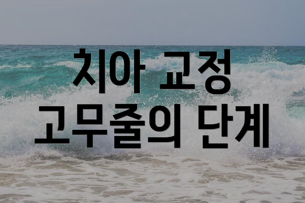 치아 교정 고무줄의 단계