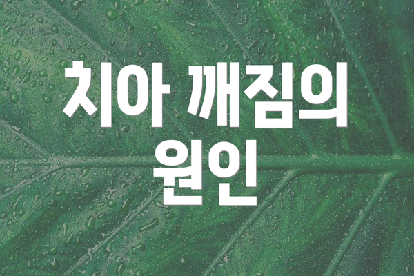 치아 깨짐의 원인