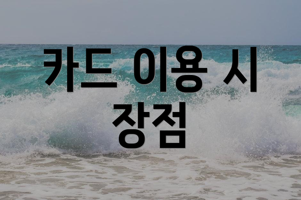 카드 이용 시 장점