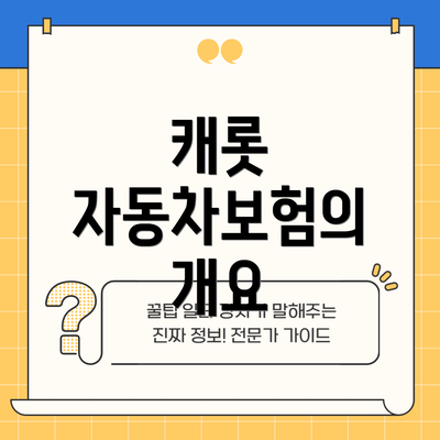 캐롯 자동차보험의 개요