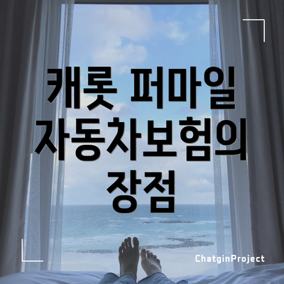 캐롯 퍼마일 자동차보험의 장점