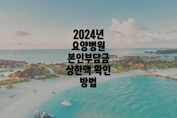 2024년 요양병원 본인부담금 상한액 확인 방법