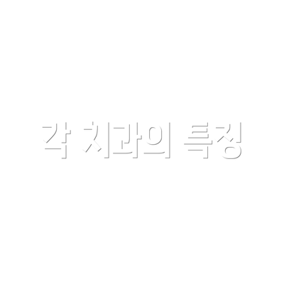각 치과의 특징