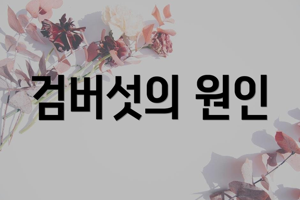 검버섯의 원인