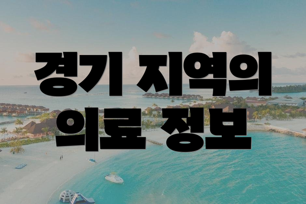 경기 지역의 의료 정보