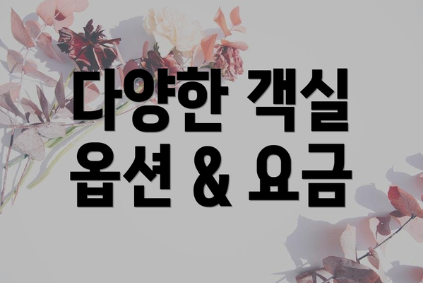 다양한 객실 옵션 & 요금