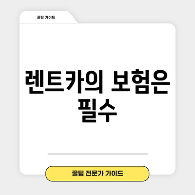 렌트카의 보험은 필수
