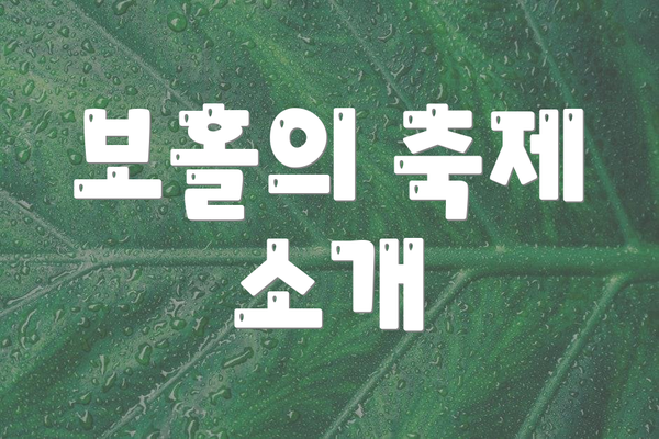 보홀의 축제 소개