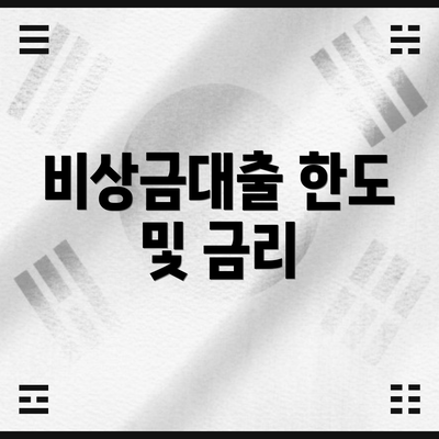 비상금대출 한도 및 금리