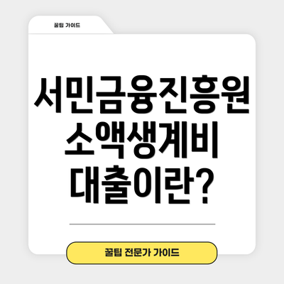 서민금융진흥원 소액생계비 대출이란?