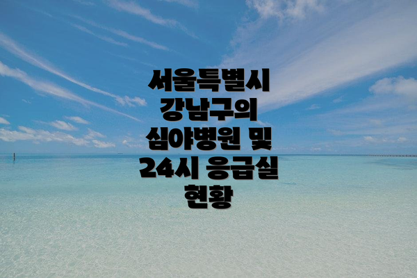 서울특별시 강남구의 심야병원 및 24시 응급실 현황