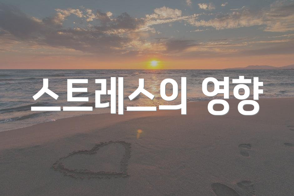 스트레스의 영향