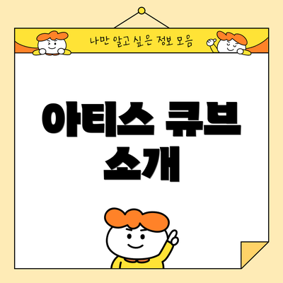 아티스 큐브 소개