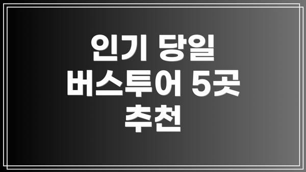 인기 당일 버스투어 5곳 추천