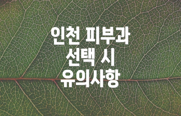 인천 피부과 선택 시 유의사항