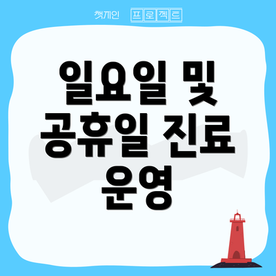 일요일 및 공휴일 진료 운영