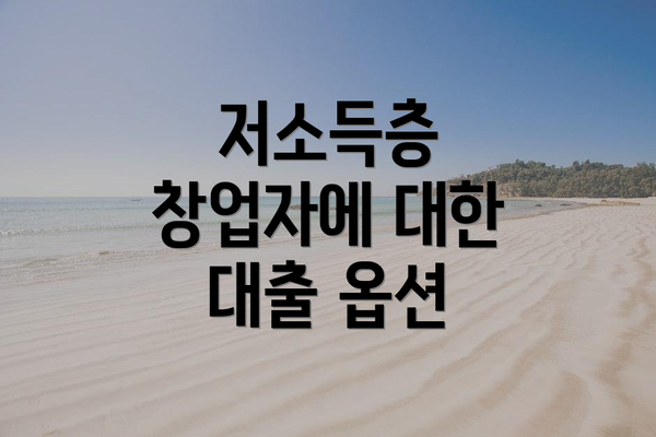 저소득층 창업자에 대한 대출 옵션