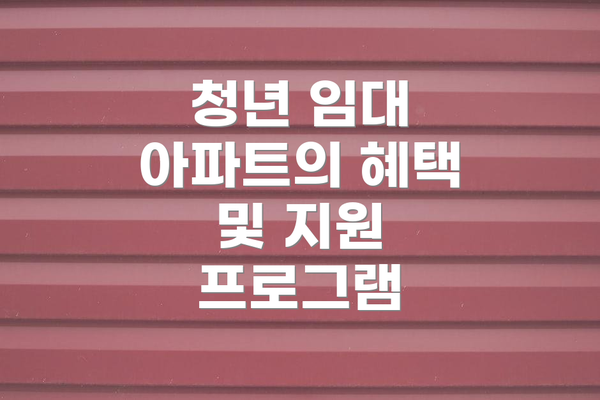 청년 임대 아파트의 혜택 및 지원 프로그램