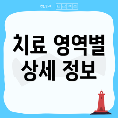치료 영역별 상세 정보