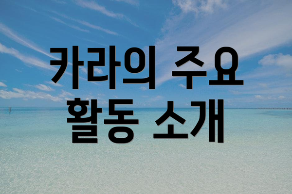 카라의 주요 활동 소개