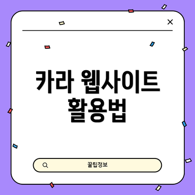 카라 웹사이트 활용법