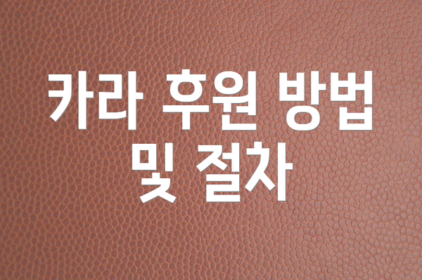 카라 후원 방법 및 절차