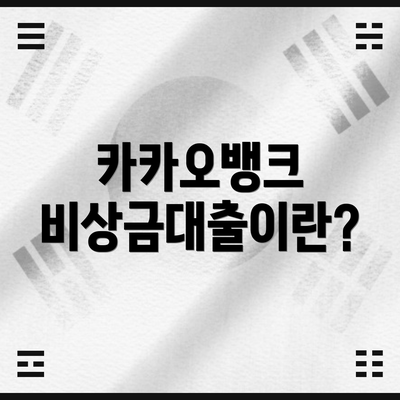 카카오뱅크 비상금대출이란?