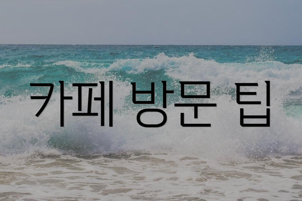 카페 방문 팁