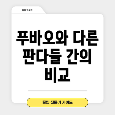 푸바오와 다른 판다들 간의 비교