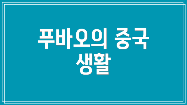푸바오의 중국 생활