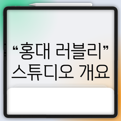 홍대 러블리 스튜디오 개요