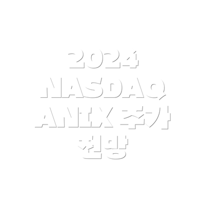 2024 NASDAQ ANIX 주가 전망