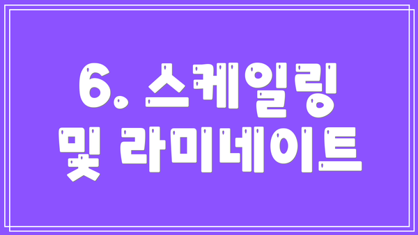 6. 스케일링 및 라미네이트