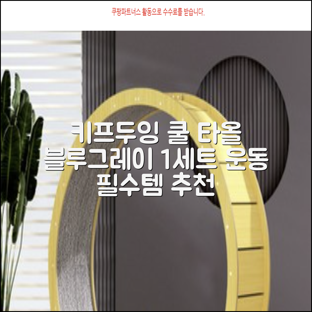 키프두잉 건식 스포츠 쿨 타올 케이스, 블루 + 그레이, 1세트 추천 리뷰