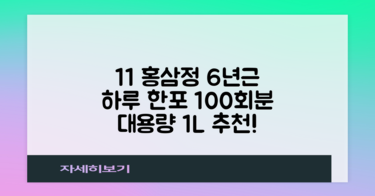 [1+1 특가] 홍삼정 6년근 하루한포 100회분 대용량+쇼핑백, 2개, 1L 추천 리뷰