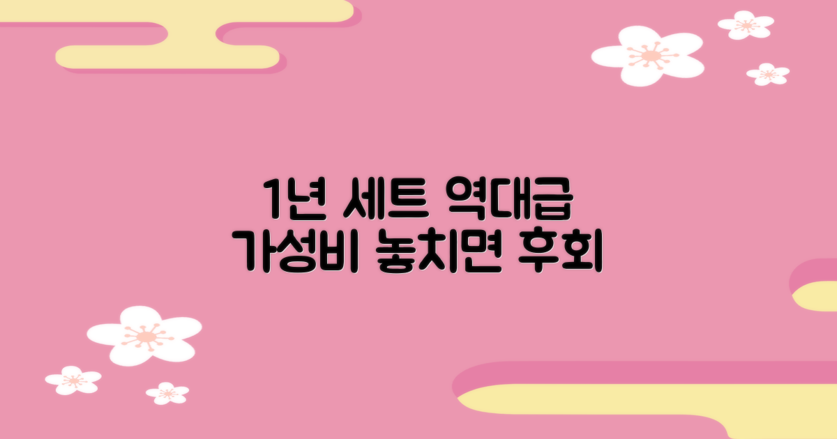 1년 세트, 놀라운 가성비