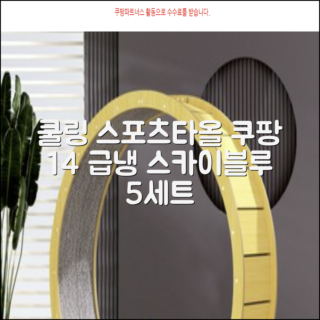 [쿠팡입점 1+4 이벤트] 아이스 쿨링 스포츠타올 건식 급냉 타올, 5세트, 스카이블루 추천 리뷰