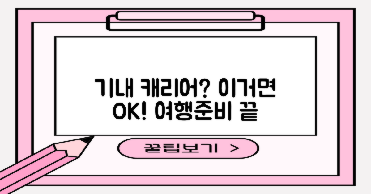 기내 캐리어로도 좋을까?
